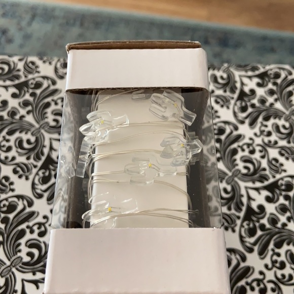 Cactus Fairy Lights ๐ต๐ก LED Curtain String Lights - Picture 10 of 12